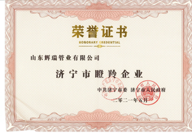 瞪羚企業